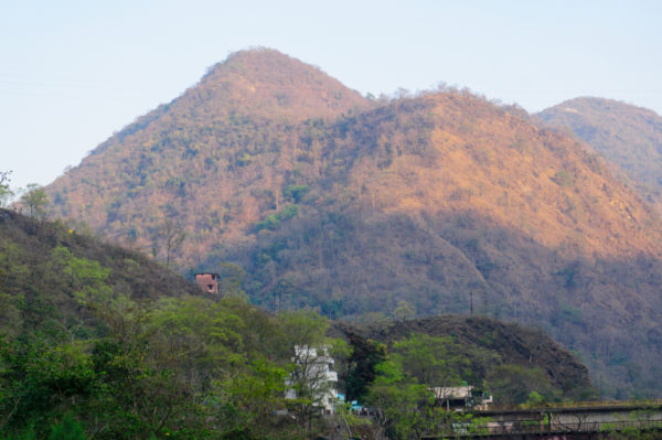Trees In Rishikesh Top Places to Do Trekking in Rishikesh | Rishikesh.Net